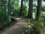 Wandung über Wurzelwege