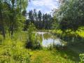 Mohndorf-und-Baerentrail-21