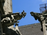 Wasserspeier am neuen Rathaus