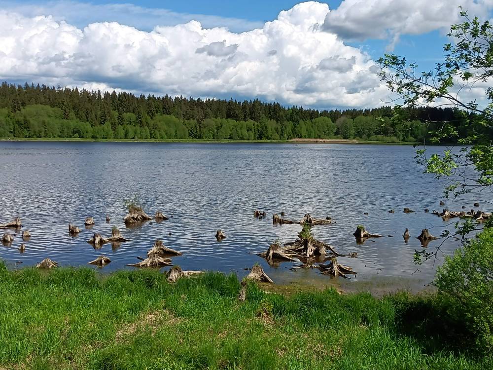 Blick auf den Moldau-Stausee
