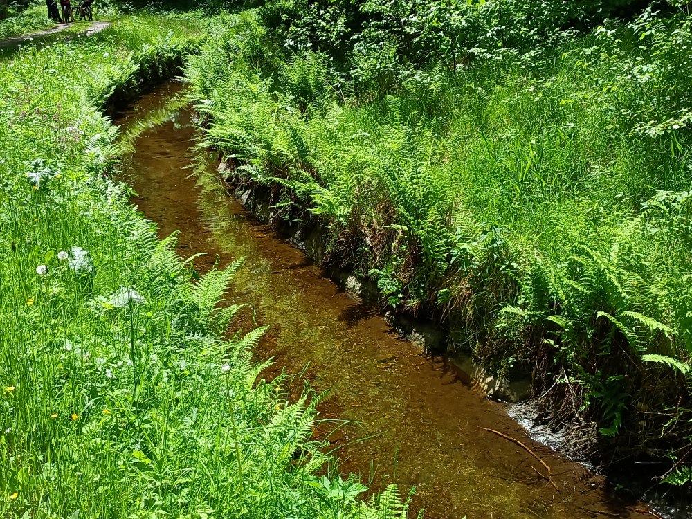 Schwemmkanal