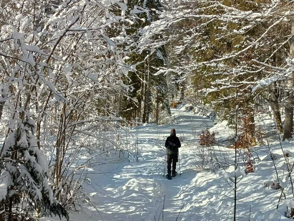Der Weg führt auf Wanderwegen und entlang der Loipe rund um den See