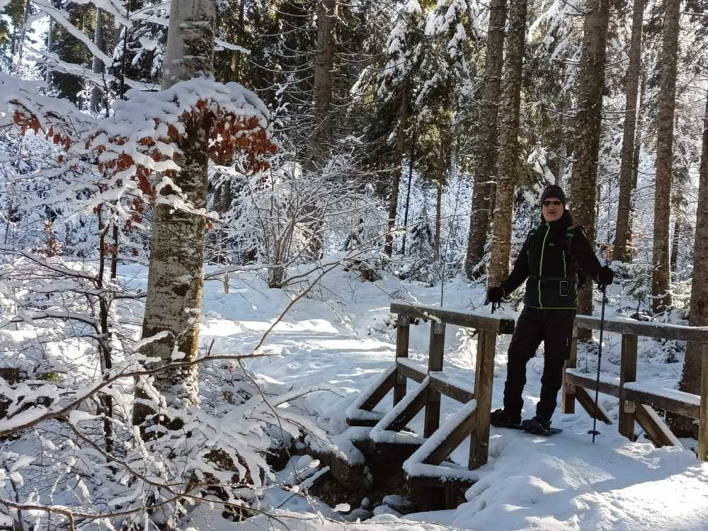 Romantische Brückerln überspannen die Zuflüsse zum See
