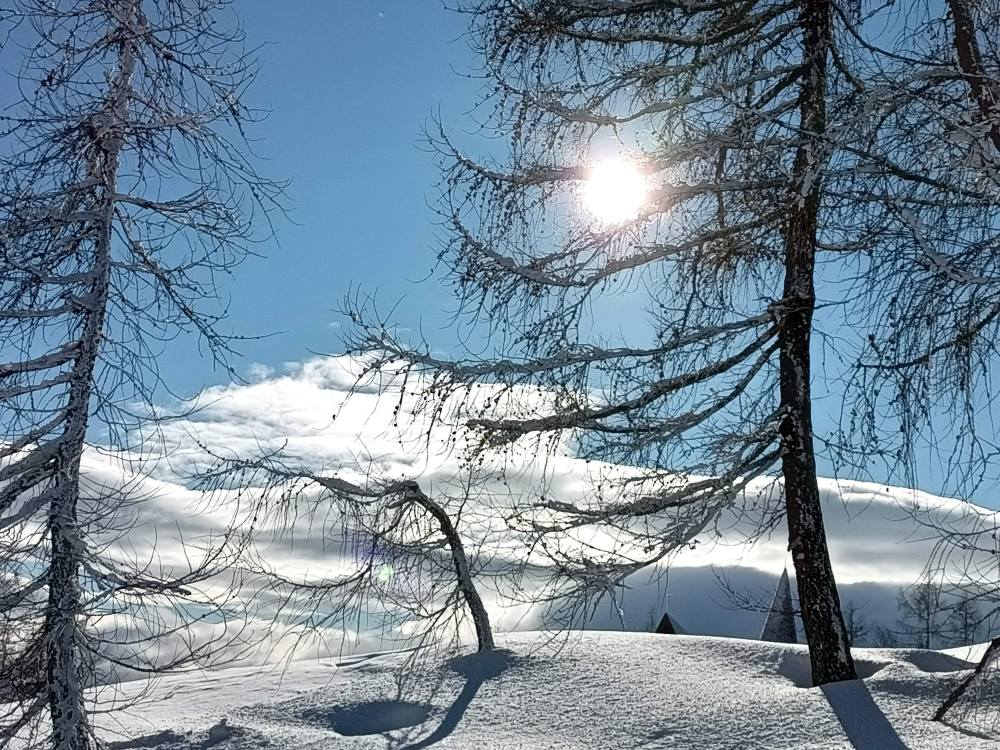 Ausblick am Berg