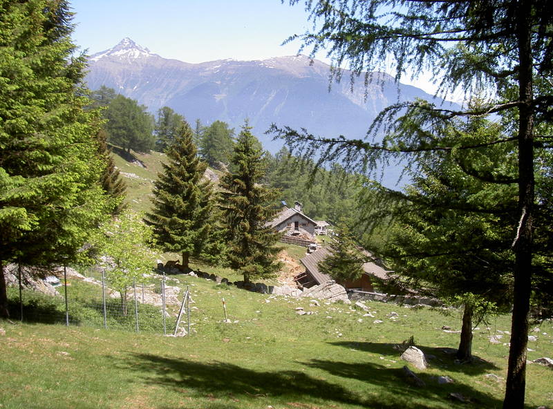 Wanderung Alpe Monda