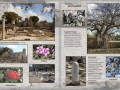 Zypern-2024-Fotobuch-11
