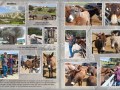 Zypern-2024-Fotobuch-34