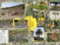 Zypern-2024-Fotobuch-37