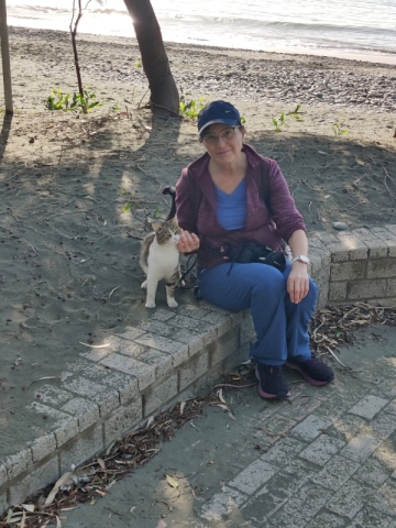 Katze am Strand von Limasol