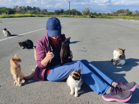 Überfall der Katzen am Parkplatz des Klosters Agios Nikolaos ton Gaton